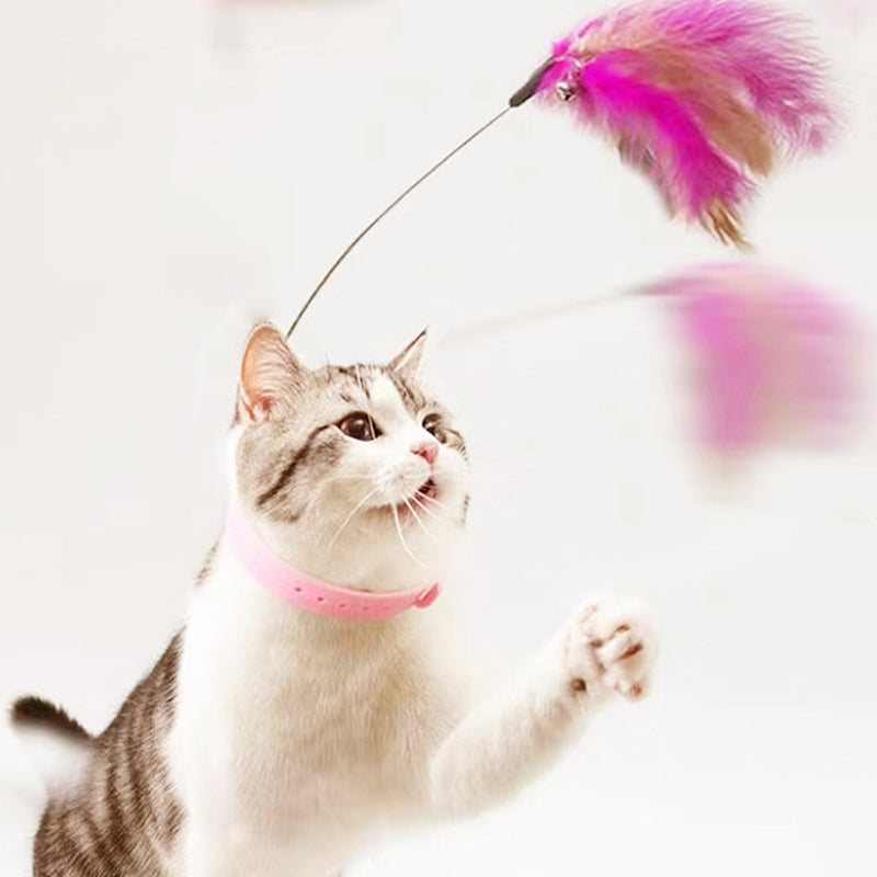 Verstellbares interaktives Katzenspielzeug mit Feder und Halsband