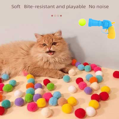 To Spend More Time With Your Pets Plush Ball Shooting Gun