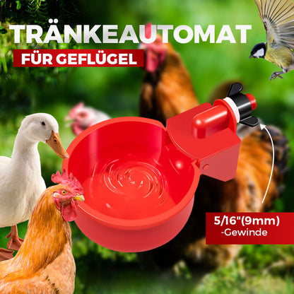 🔥🔥Geschenk für Hühnerliebhaber 44% OFF--🔥Automatische Hühnertränke Vogelhäuschen