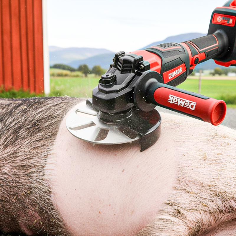 🧰Kraftsparende Schabscheibe zur Entfernung von Schweineborsten