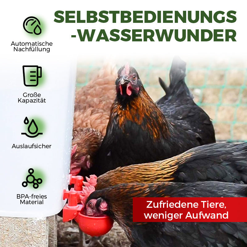 🔥🔥Geschenk für Hühnerliebhaber 44% OFF--🔥Automatische Hühnertränke Vogelhäuschen