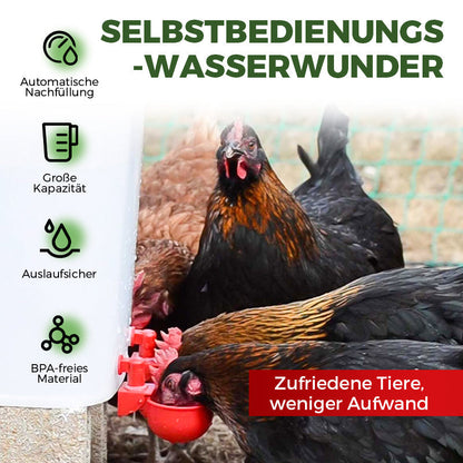 🔥🔥Geschenk für Hühnerliebhaber 44% OFF--🔥Automatische Hühnertränke Vogelhäuschen