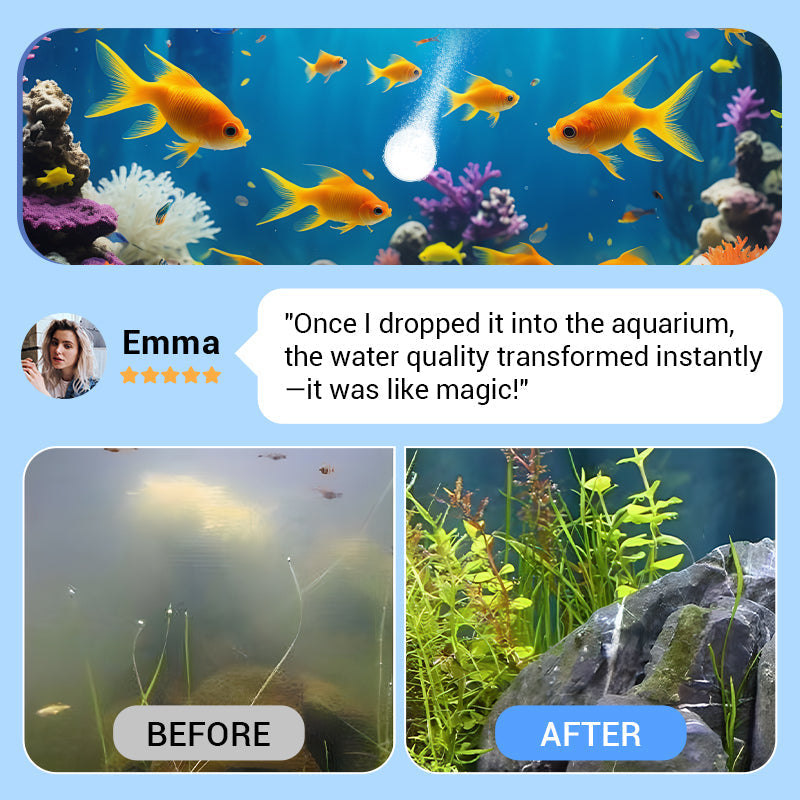 Leistungsstarke Tablette zur Reinigung von Aquarienwasser