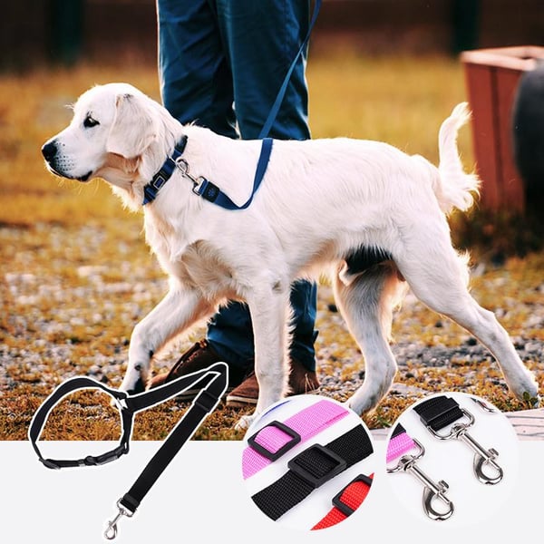 🐶🚗🔥 50% RABATT! Auto-Hundeleine – einstellbar, sicher & perfekt für jede Fahrt ✨