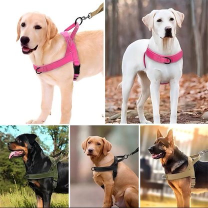 🏆✨Robustes taktisches Hundegeschirr mit Griff🐕