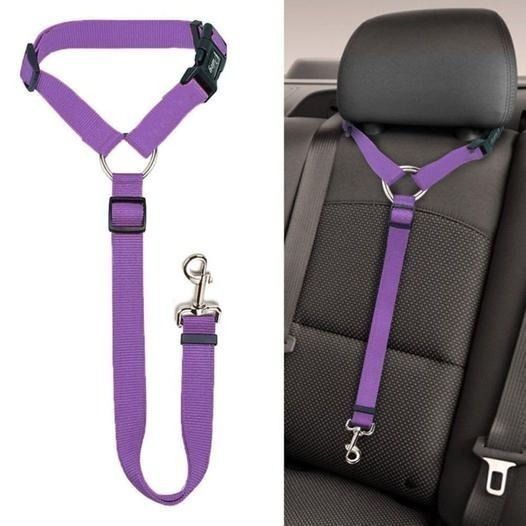🐶🚗🔥 50% RABATT! Auto-Hundeleine – einstellbar, sicher & perfekt für jede Fahrt ✨