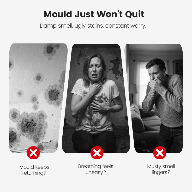 🔥2026 Neuester Vorverkaufs-Mehrzweckreiniger🔥Highly Effective Mould Removal Spray - Prevents Mould Regrowth
