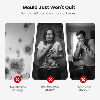 🔥2026 Neuester Vorverkaufs-Mehrzweckreiniger🔥Highly Effective Mould Removal Spray - Prevents Mould Regrowth