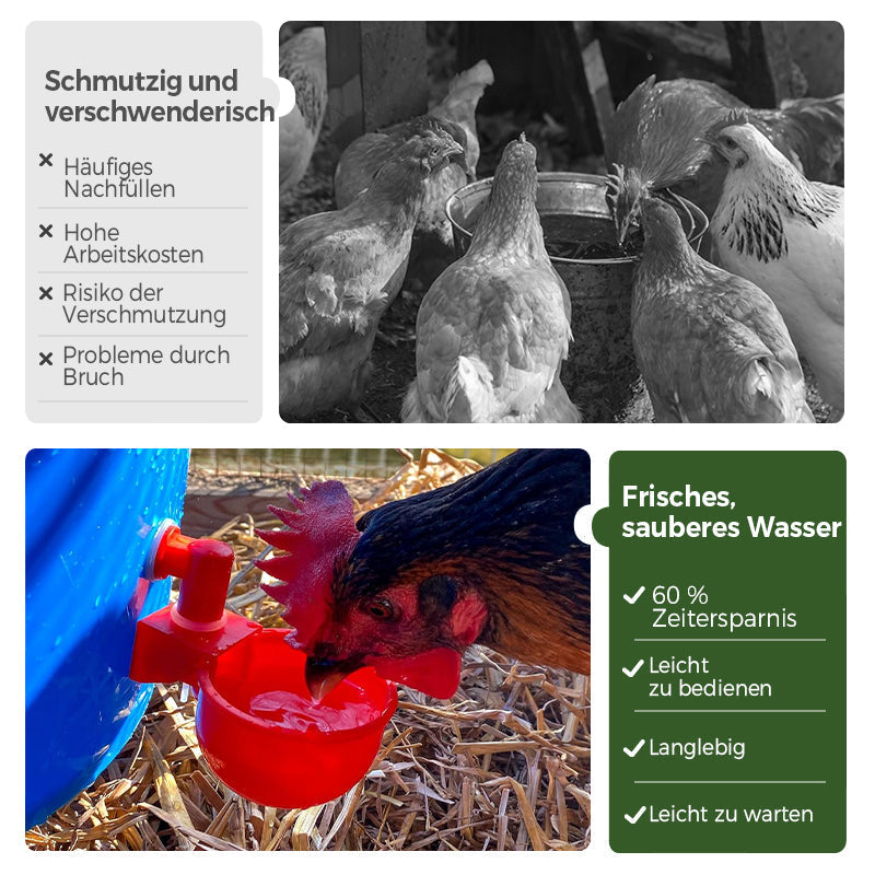 🔥🔥Geschenk für Hühnerliebhaber 44% OFF--🔥Automatische Hühnertränke Vogelhäuschen