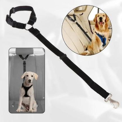 🐶🚗🔥 50% RABATT! Auto-Hundeleine – einstellbar, sicher & perfekt für jede Fahrt ✨