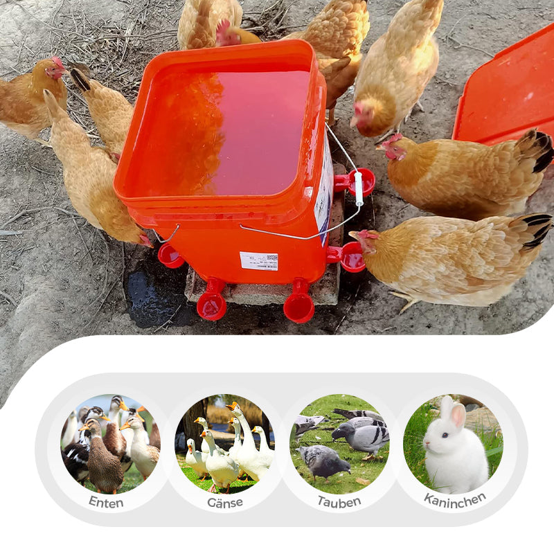 🔥🔥Geschenk für Hühnerliebhaber 44% OFF--🔥Automatische Hühnertränke Vogelhäuschen