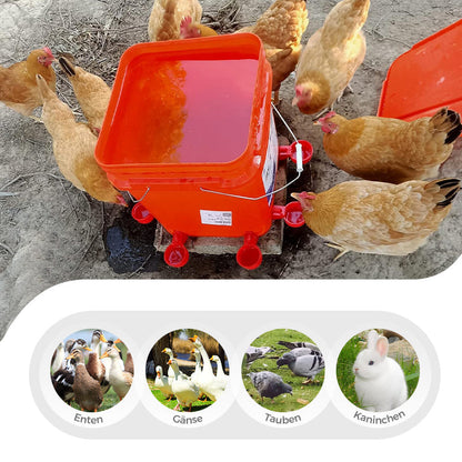 🔥🔥Geschenk für Hühnerliebhaber 44% OFF--🔥Automatische Hühnertränke Vogelhäuschen