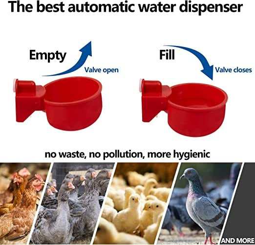 🔥🔥Geschenk für Hühnerliebhaber 49% OFF--🔥Automatische Hühnertränke Vogelhäuschen