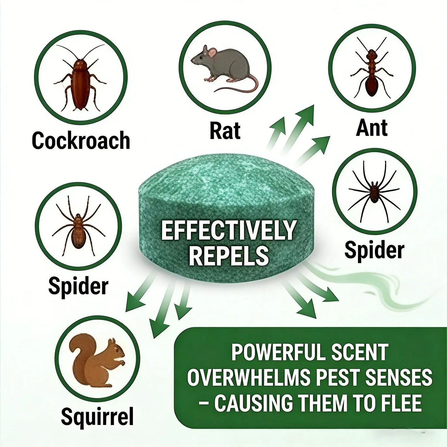 🥳2026 HEISSER VERKAUF🥳💞Über 50.000 verkauft!🏠  Vielseitig einsetzbare Nagetierabwehrpellets – sicher für Haustiere und Wildtiere. Giftfrei und hochwirksam. Geeignet für den Innen- und Außenbereich.🐾✅