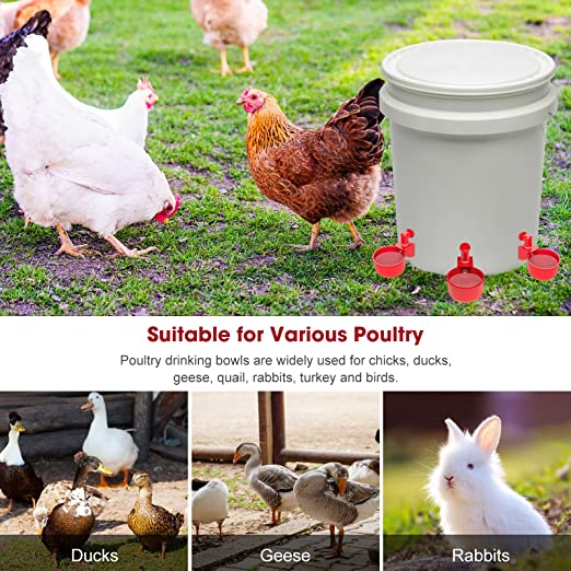 🔥🔥Geschenk für Hühnerliebhaber 49% OFF--🔥Automatische Hühnertränke Vogelhäuschen