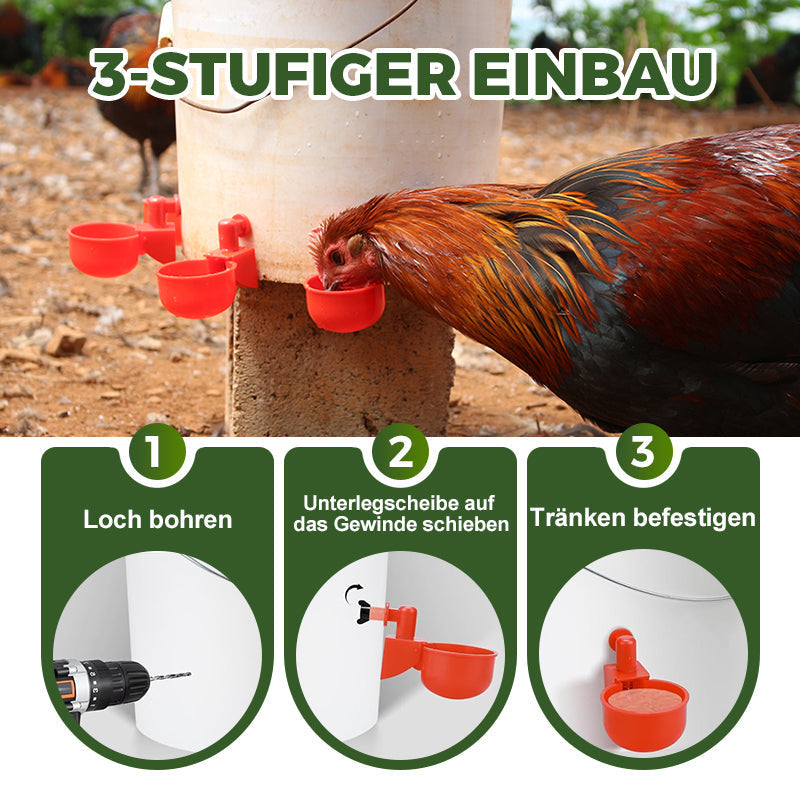 🔥🔥Geschenk für Hühnerliebhaber 44% OFF--🔥Automatische Hühnertränke Vogelhäuschen