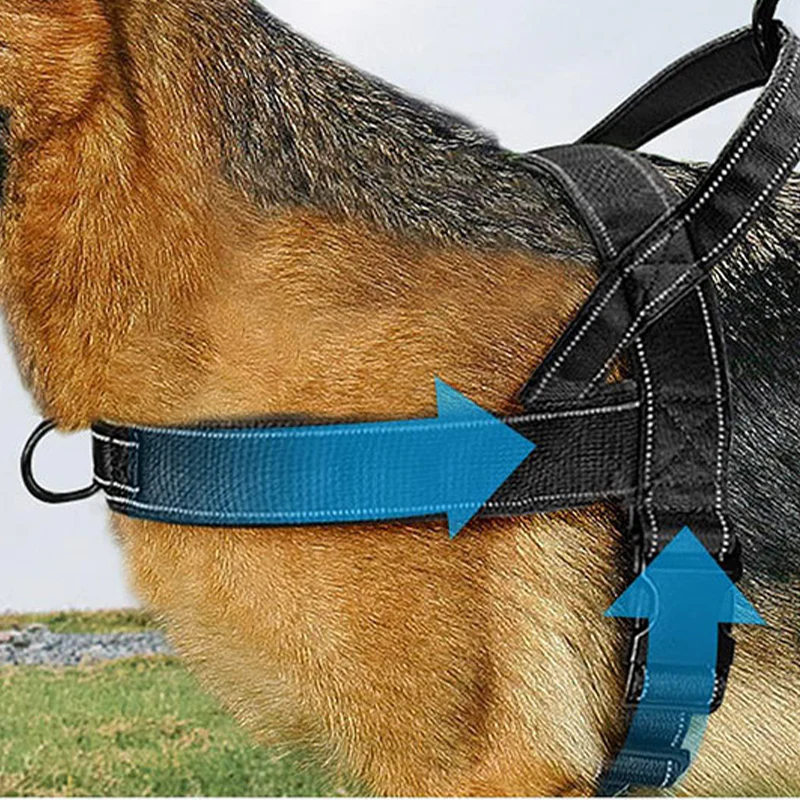 🏆✨Robustes taktisches Hundegeschirr mit Griff🐕