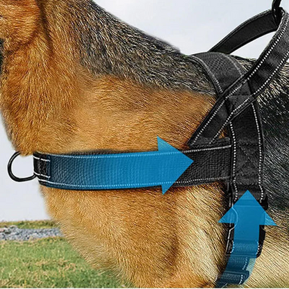 🏆✨Robustes taktisches Hundegeschirr mit Griff🐕
