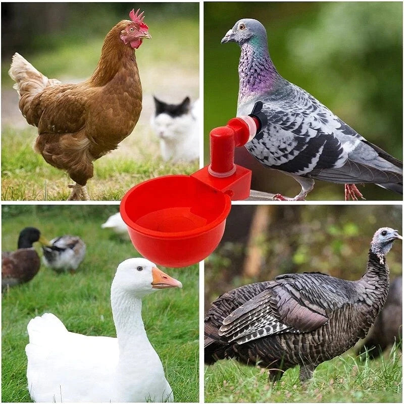 🔥🔥Geschenk für Hühnerliebhaber 49% OFF--🔥Automatische Hühnertränke Vogelhäuschen