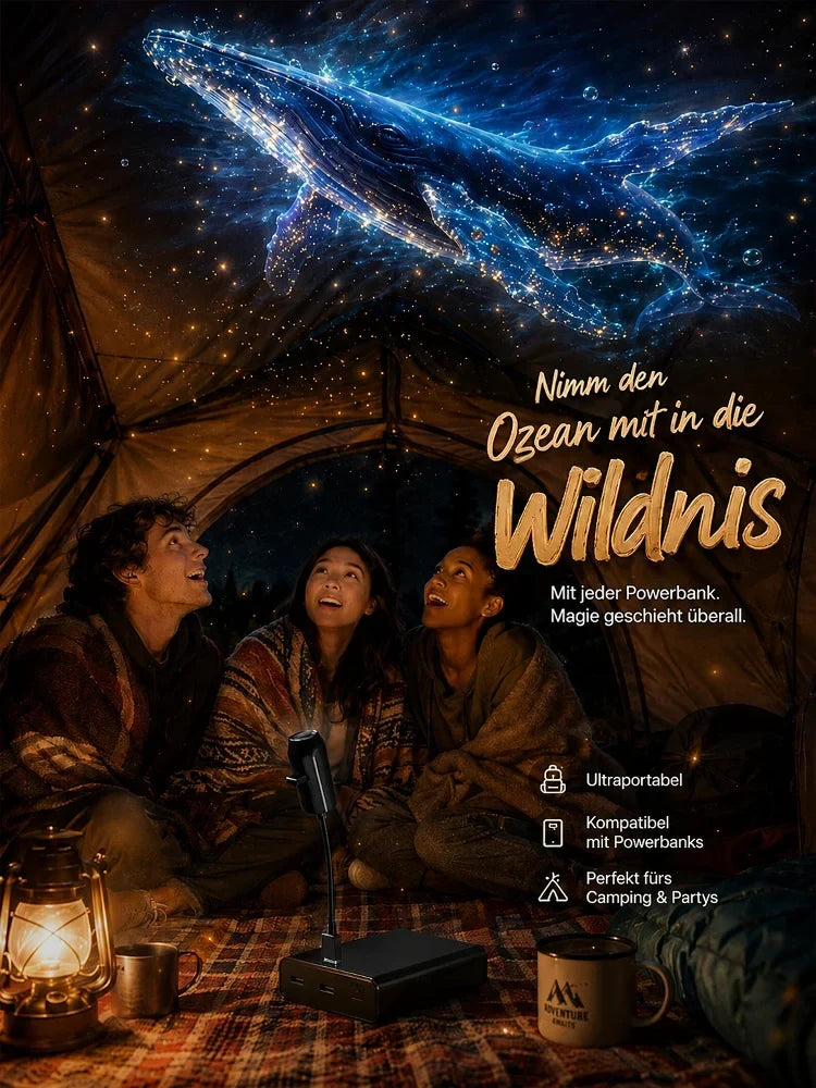 🌌 JETZT 50 % RABATT! 💫 USB-Lampe mit Sternenhimmel-Projektion – 13 austauschbare Filmplatten & flexibler Hals – perfekt für das Schlafzimmer ✨