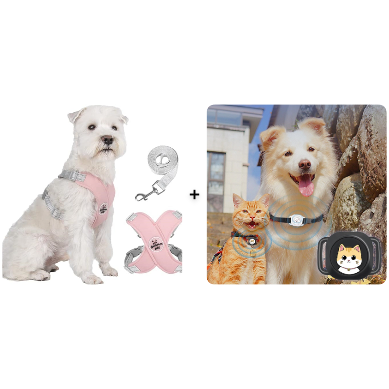 🥳HEISSER SALE 2026🥳💞50.000+ VERKAUFT!👵  X-förmiges Anti-Zug-Hundegeschirr-Set mit Leine
