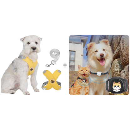 🥳HEISSER SALE 2026🥳💞50.000+ VERKAUFT!👵  X-förmiges Anti-Zug-Hundegeschirr-Set mit Leine