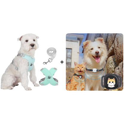 🥳HEISSER SALE 2026🥳💞50.000+ VERKAUFT!👵  X-förmiges Anti-Zug-Hundegeschirr-Set mit Leine