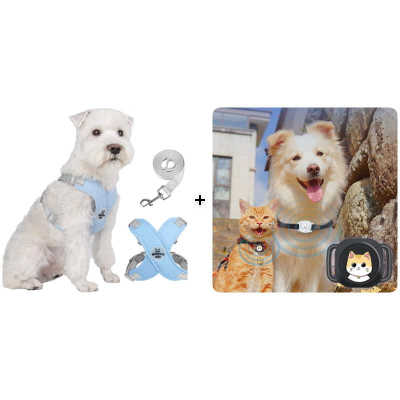 🥳HEISSER SALE 2026🥳💞50.000+ VERKAUFT!👵  X-förmiges Anti-Zug-Hundegeschirr-Set mit Leine