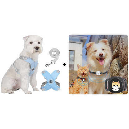 🥳HEISSER SALE 2026🥳💞50.000+ VERKAUFT!👵  X-förmiges Anti-Zug-Hundegeschirr-Set mit Leine
