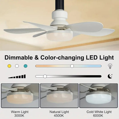 🏆 LETZTER TAG – 49 % RABATT! 🔥40W LED-Deckenventilator mit Licht – 52 cm (20,5“), extrem leise, inkl. Fernbedienung 🎯E27-Fassung + KOSTENLOSER B22-Adapter 🔌Ideal für Schlafzimmer 😴, Küche 👩‍🍳 & Werkstatt 🛠️