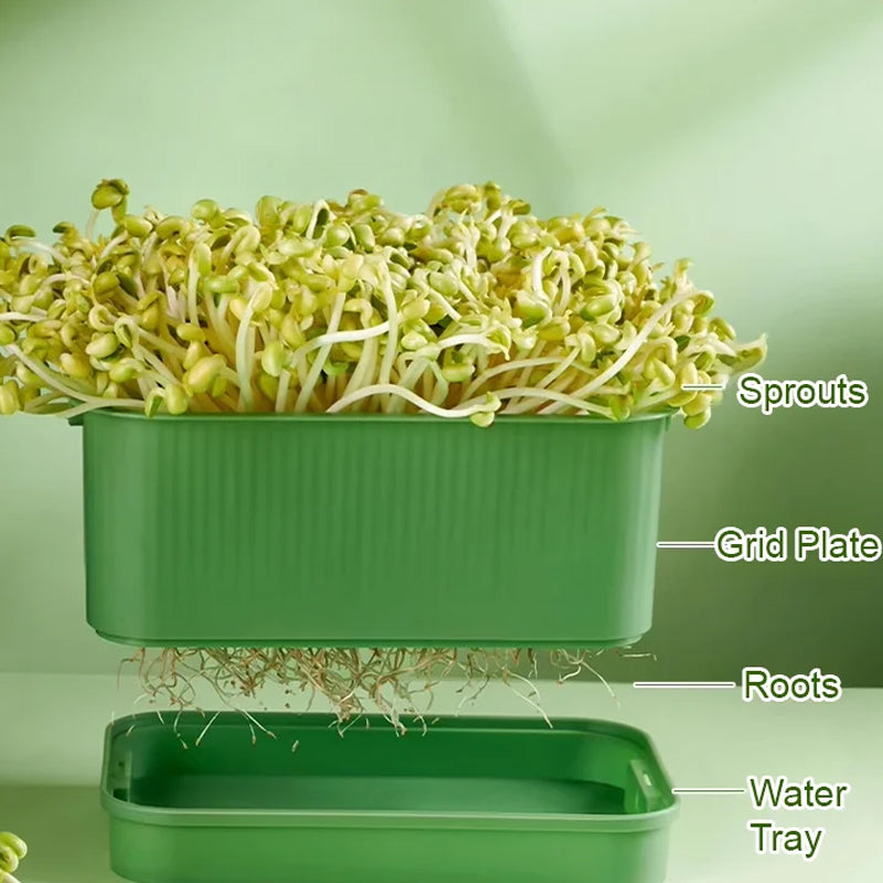 🌱💚Stapelbare Keimsaat-Anzuchtbox🎉 Zweites zum halben Preis! Mehrschichtiges Design, perfekt für den Heimanbau, gesundes grünes Leben!