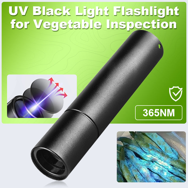 Schwarzlicht-Taschenlampe UV – 2 Stück, USB-C Aufladbar, 8 H Laufzeit – Für Urinflecken, Skorpione, Mineralien & DIY