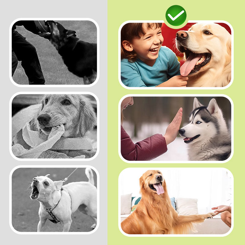 Kompaktes tragbares Ultraschall-Hundeabwehrmittel