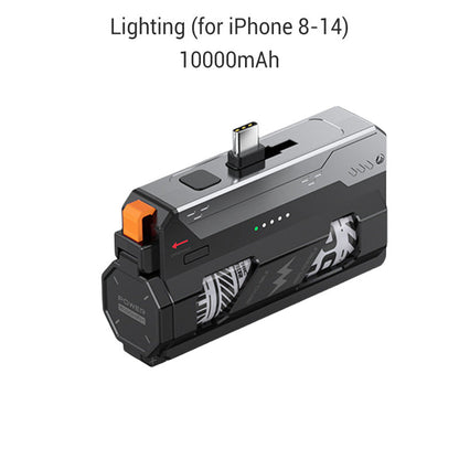 Tragbare Powerbank mit austauschbarer Batteri