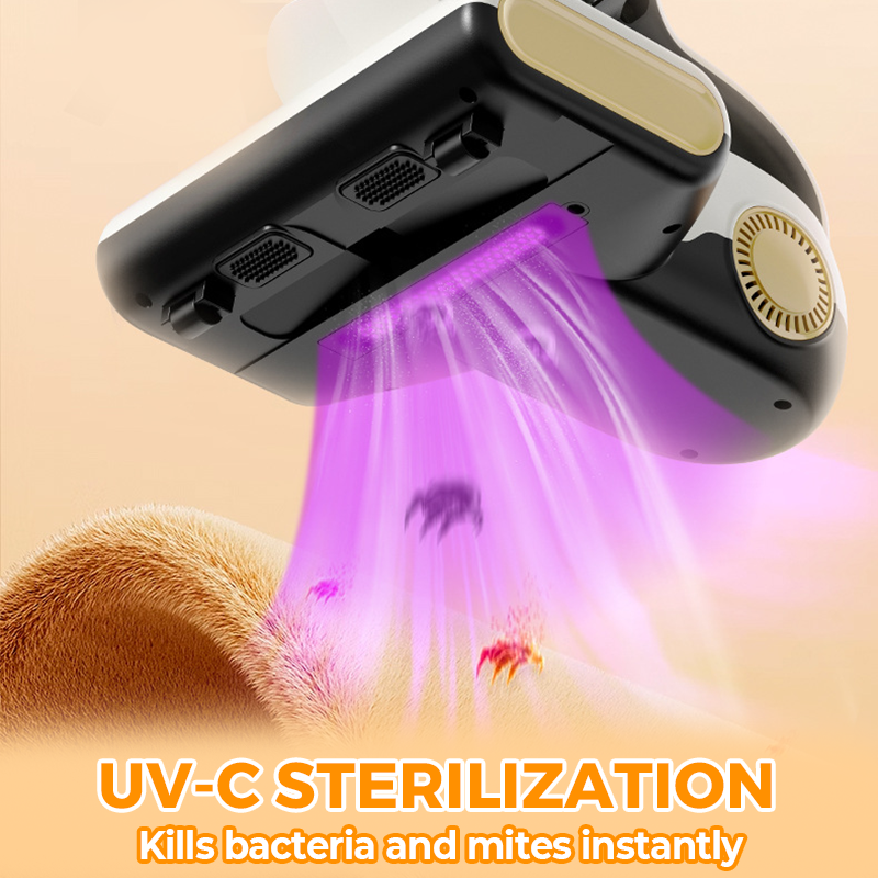 Leistungsstarker Matratzensauger