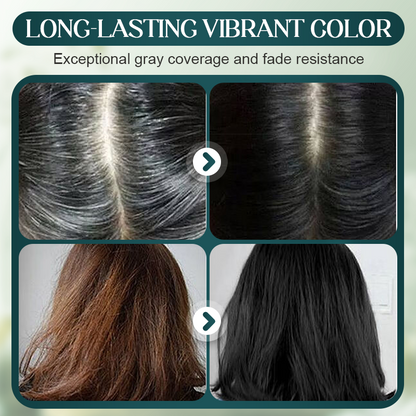 💇‍♀️ KAUFE 2, ERHALTE 1 GRATIS! 🌈 Langzeit-Haarfarben-Set - Graue Haare abdecken ohne Kopfhautschäden ✨🧴