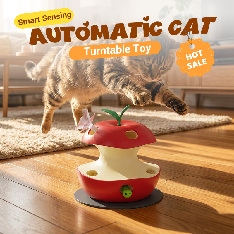 Intelligentes automatisches Katzenspielzeug mit Drehscheibe