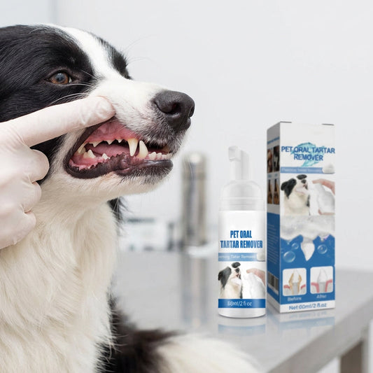 💘 Valentinstagsangebot: 50% Rabatt!🐾 Schaum-Zahnsteinentferner für Haustiere – Natürliche Formel & mühelose Anwendung!