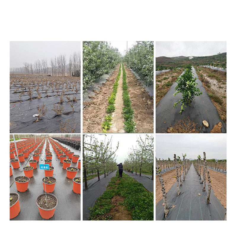 ⛏🌿 Unkrautvlies – Sonnenschutz, atmungsaktiv und ideal für Beete und Wege 📉