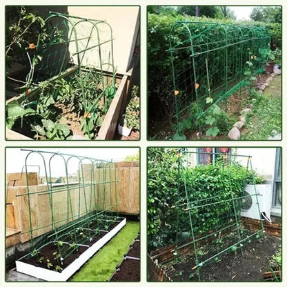 🔥🔥Heißes Angebot 🌱 Verbindungsschnallen – Pflanzliche Verbindungsschnallen