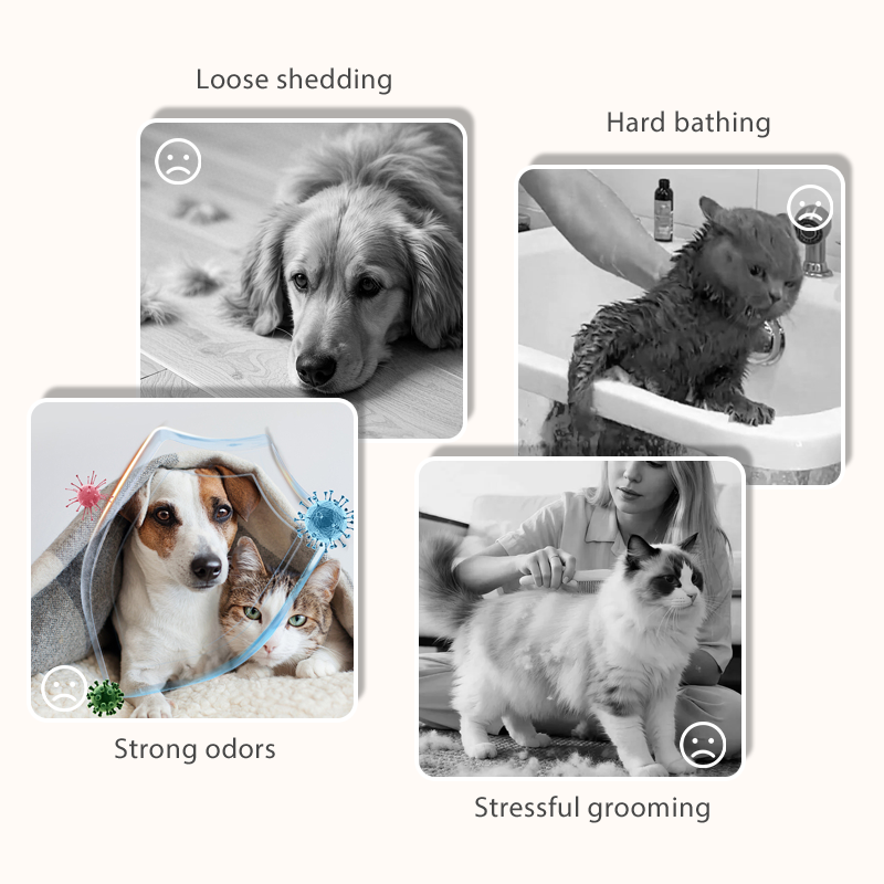 Pflegehandschuhtücher für Hunde und Katzen – 6 Stück/Packung