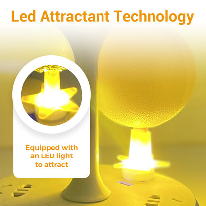 ⏰🎁Klebrige Fruchtfliegenfalle mit Ständer und LED