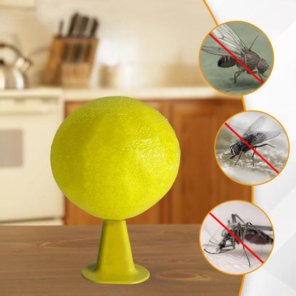 ⏰🎁Klebrige Fruchtfliegenfalle mit Ständer und LED