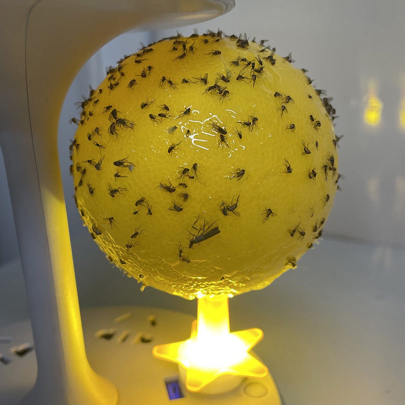 ⏰🎁Klebrige Fruchtfliegenfalle mit Ständer und LED