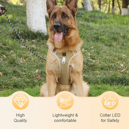 🐾 Anti-Zug Hundegeschirr mit Front-D-Ring 🦮 inkl. Leine & LED-Halsband 🔥 sicher & komfortabel