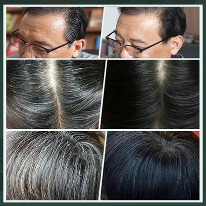 Haarfärbemittel mit pflanzlichem Kamm