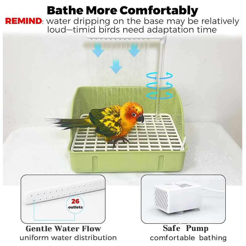 Automatisches Wellensittich-Vogelbad mit Pumpe