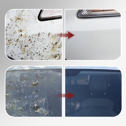Leistungsstarker Insekten- und Käferentferner fürs Auto