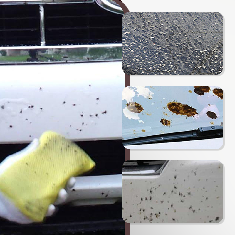 Leistungsstarker Insekten- und Käferentferner fürs Auto