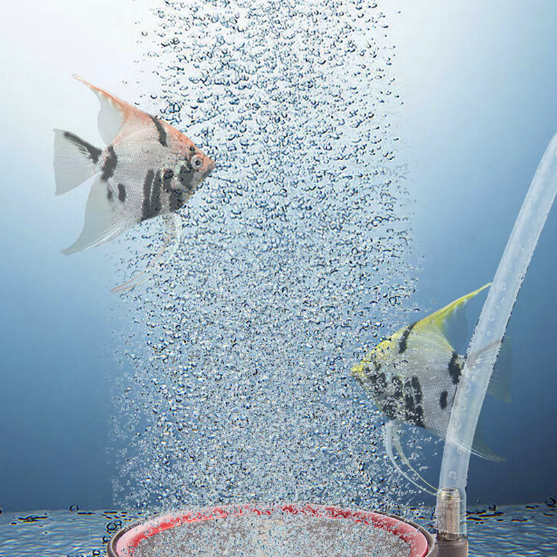 Runder Luftstein-Scheiben-Blasendiffusor für Aquarien
